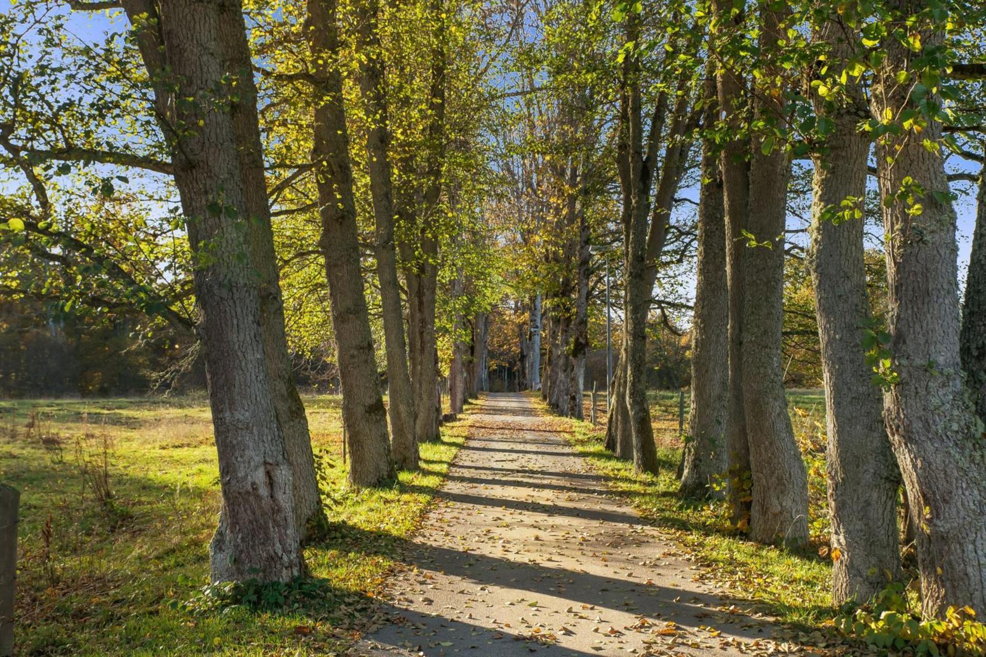 Grimsnas Herrgard Ljuder (Kronoberg) エクステリア 写真